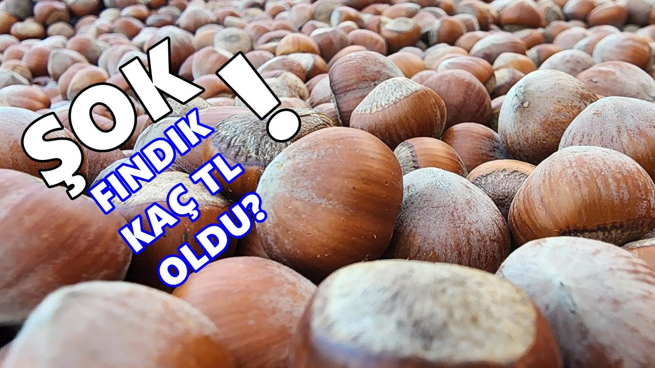 Fındık Fiyatında Rüzgar Tersinden Esiyor; 29 Ocak 2026 Perşembe