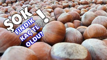 Fındık Fiyatında Rüzgar Tersinden Esiyor; 29 Ocak 2026 Perşembe