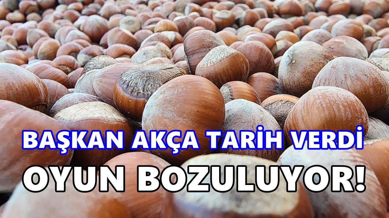 Fındık Piyasasında Oyun Bozuluyor: Kritik Tarih Ocak’ın İkinci Yarısı