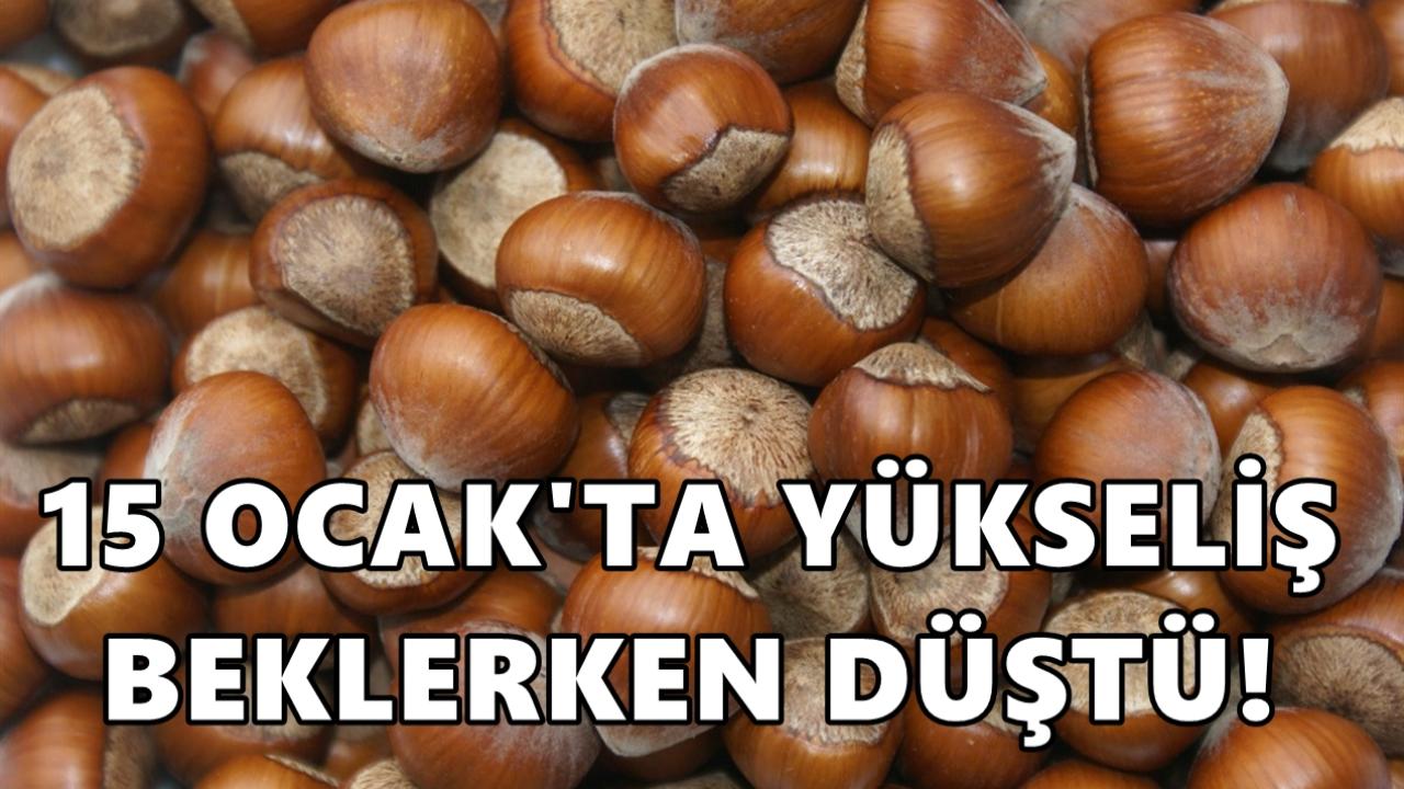 Fındıkta 15 Ocak Umudu Boşa Çıktı: Fiyatlar Düştü