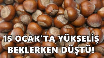 Fındıkta 15 Ocak Umudu Boşa Çıktı: Fiyatlar Düştü