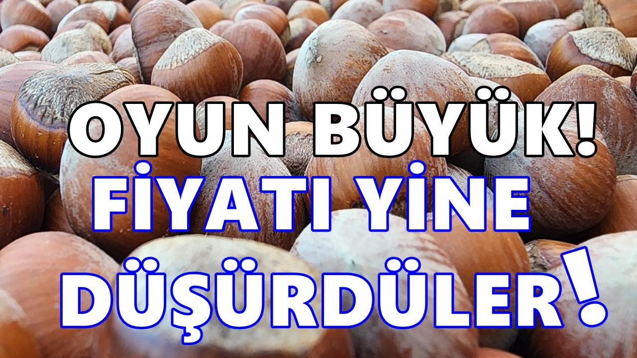 Fındıkta Oyun Büyük; 340 TL’den 240 TL’ye Sert Düştü!