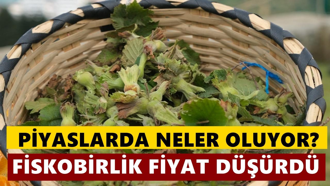 FİSKOBİRLİK de Fındık Fiyatını Düşürdü: Ortak Olmayana İlk Kez Fiyat Yok