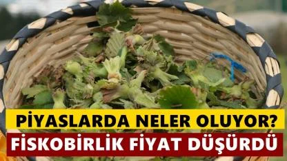 FİSKOBİRLİK de Fındık  Fiyatını Düşürdü: Ortak Olmayana İlk Kez Fiyat Yok