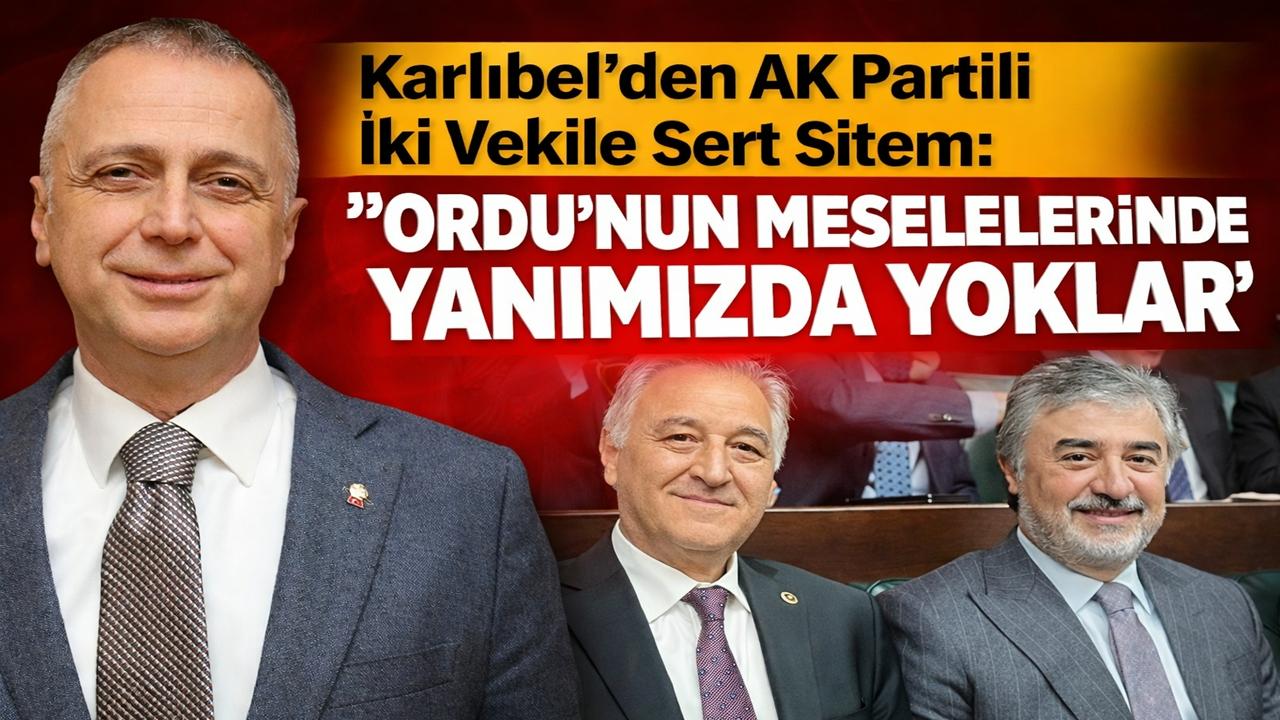 Karlıbel’den AK Partili İki Vekile Sert Sitem: “Ordu’nun Meselelerinde Yanımızda Yoklar”