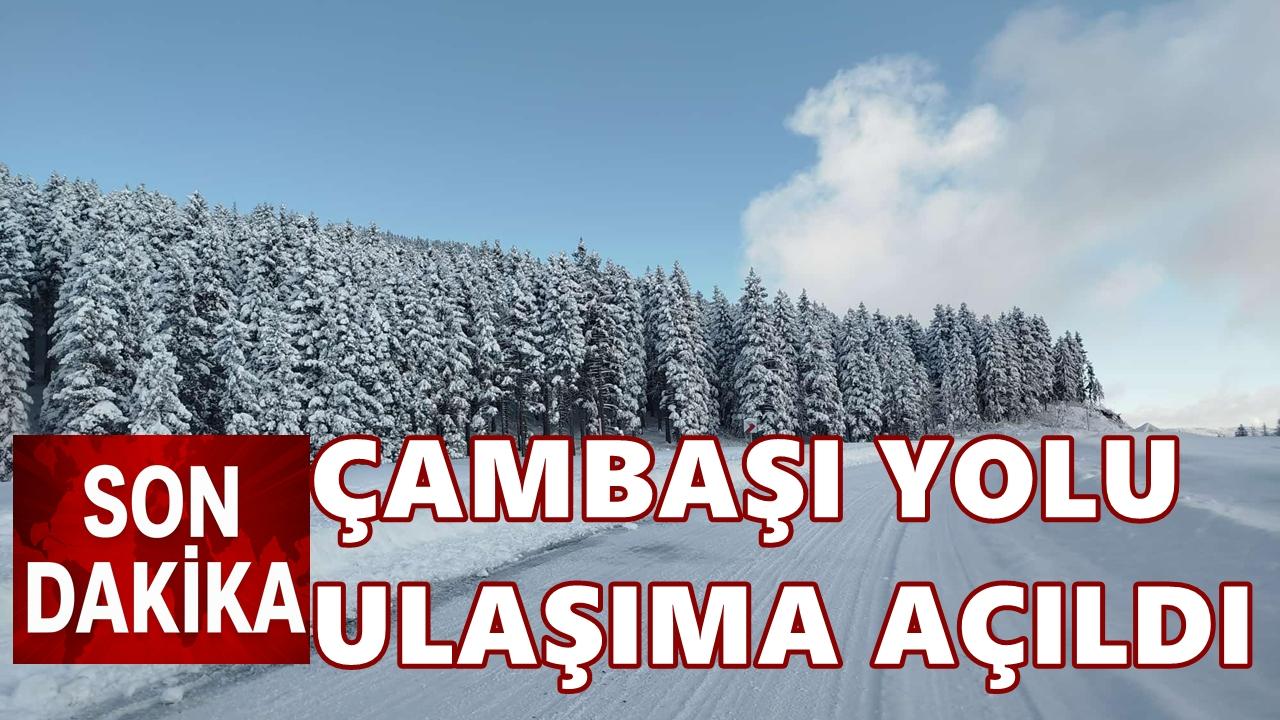 Ordu Çambaşı Yolu Yeniden Ulaşıma Açıldı