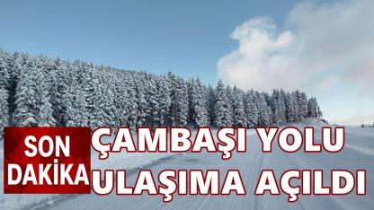 Ordu Çambaşı Yolu Yeniden Ulaşıma Açıldı