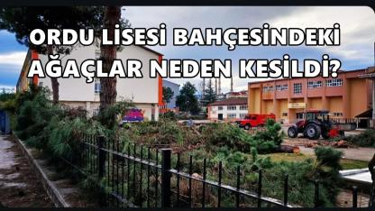 Ordu Lisesi Bahçesindeki Ağaçlar Neden Kesildi?