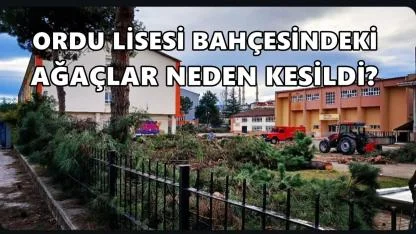 Ordu Lisesi Bahçesindeki Ağaçlar Neden Kesildi?