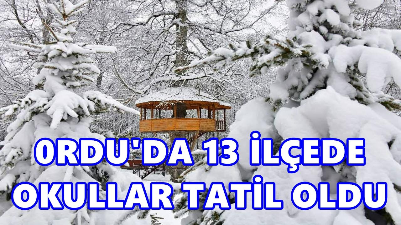 Ordu’da 13 İlçede Eğitime Kar Engeli