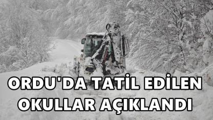 Ordu'da 14 Ocak Çarşamba Günü Tatil Edilen Okullar Açıklandı