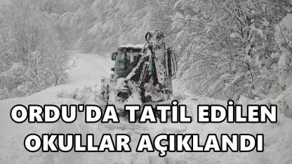 Ordu'da 14 Ocak Çarşamba Günü Tatil Edilen Okullar Açıklandı