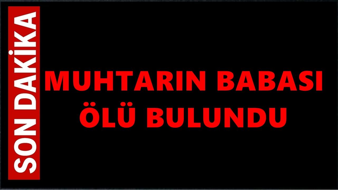 Ordu'da Cinayet: Muhtarın Babası Öldürüldü, Annesi Ağır Yaralı
