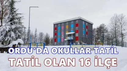 Ordu’da Eğitime Kar Engeli: Tatil Edilen İlçe Sayısı 16 Oldu