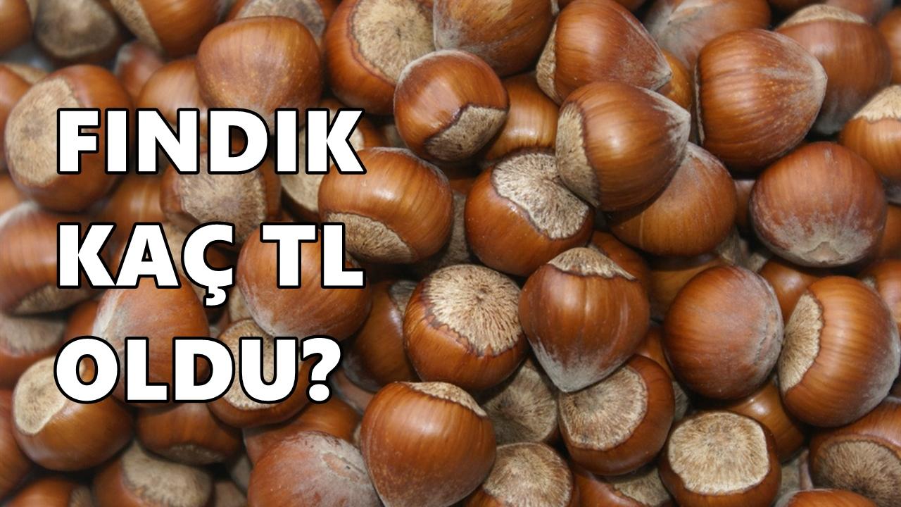 Ordu'da Fındık Fiyatı Yükseldi Mi? 4 Ocak 2026 Pazar Fındık Fiyatı