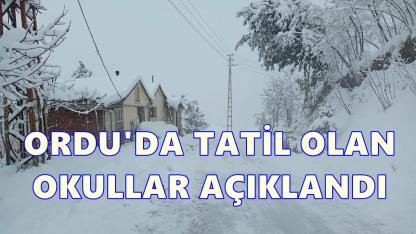 Ordu’da Kar Tatili: 16 İlçede Eğitime 1 Gün Ara Verildi
