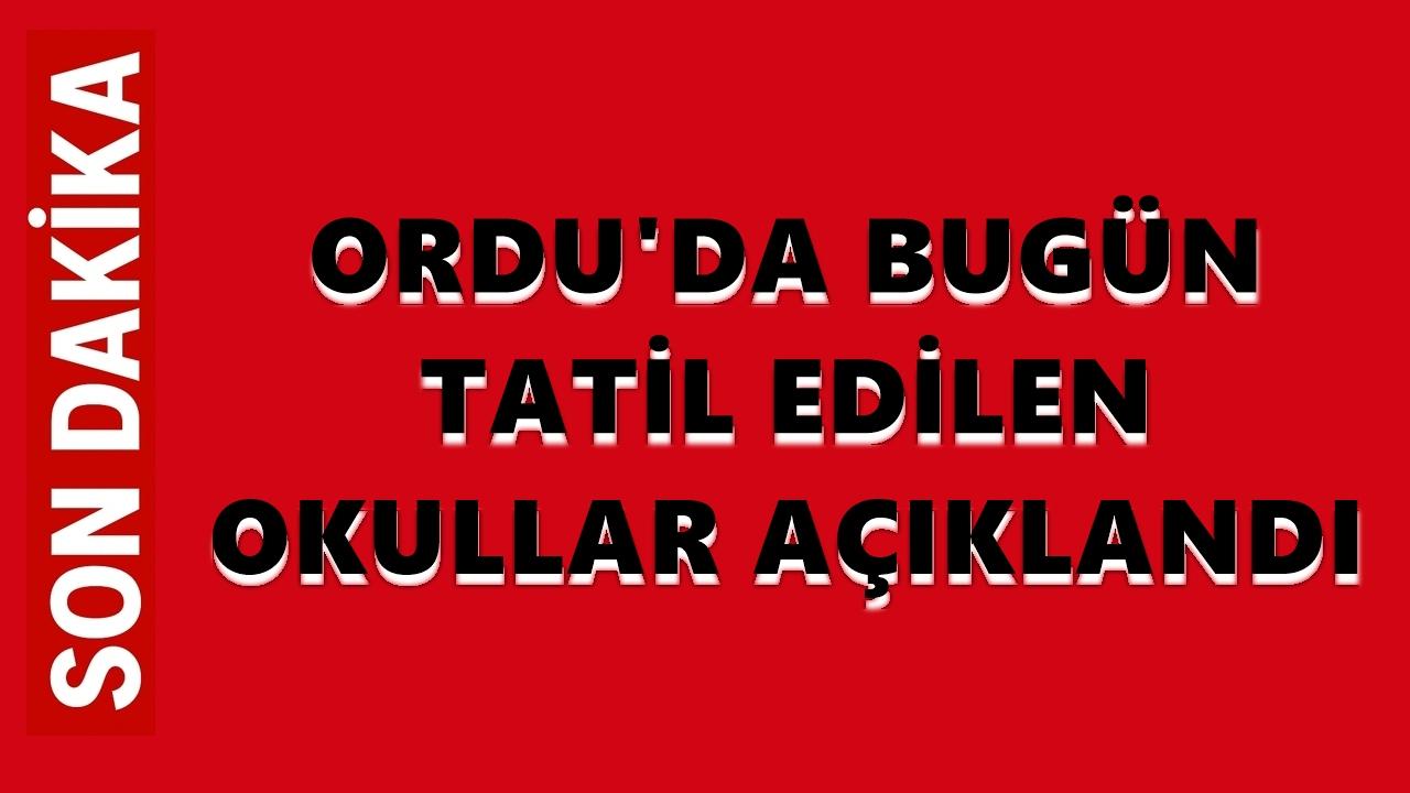 Ordu'da Kar ve Buzlanma Nedeniyle Bugün Tatil Edilen Okullar Açıklandı