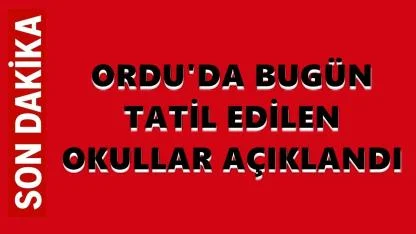 Ordu'da Kar ve Buzlanma Nedeniyle Bugün Tatil Edilen Okullar Açıklandı