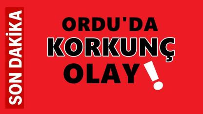 Ordu'da Korkunç Olay: Evini Yaktıktan Sonra Hayatına Son Verdi