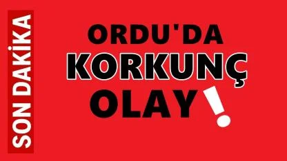 Ordu'da Korkunç Olay: Evini Yaktıktan Sonra Hayatına Son Verdi