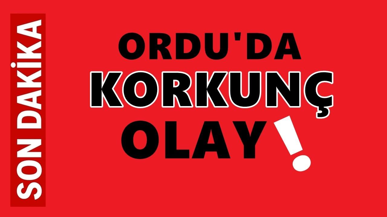 Ordu'da Korkunç Olay: Evini Yaktıktan Sonra Hayatına Son Verdi