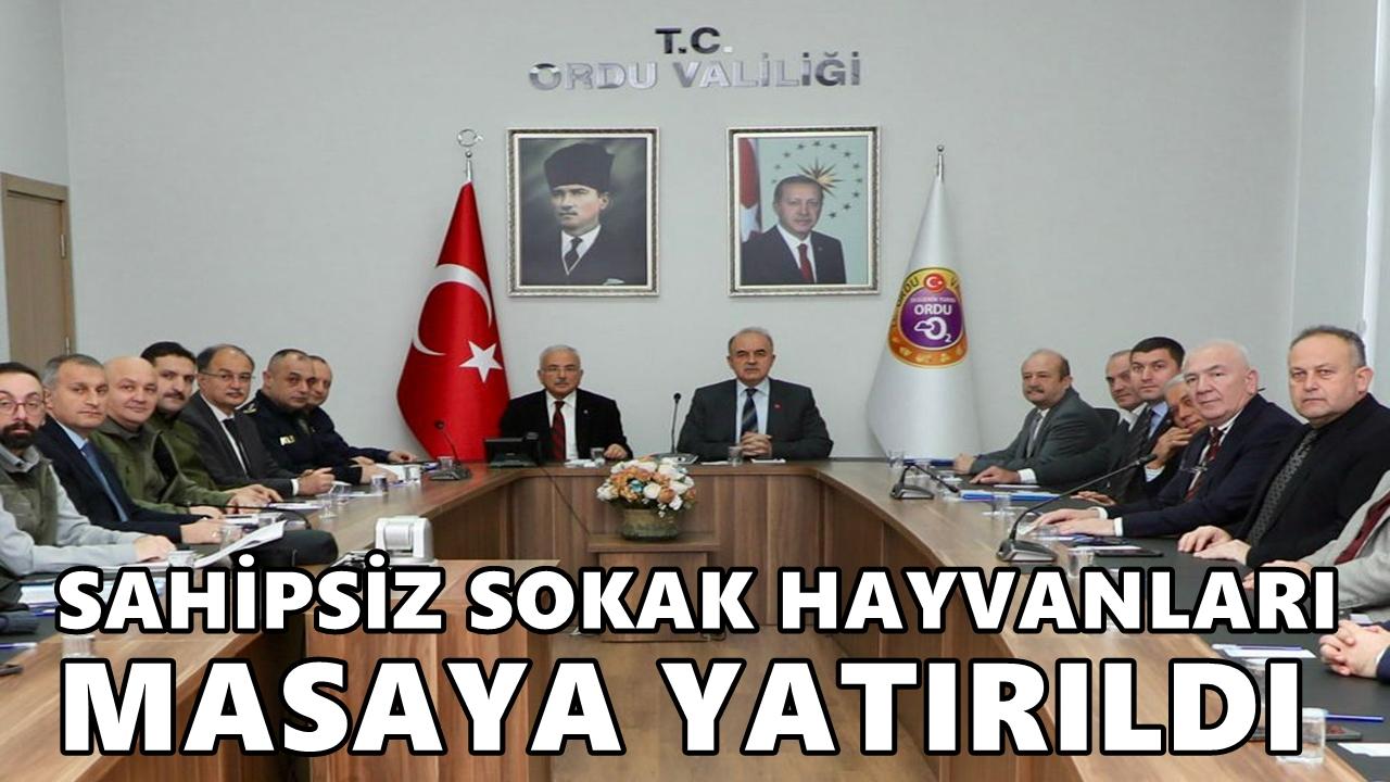 Ordu’da Sahipsiz Sokak Hayvanları İçin Barınak ve Doğal Yaşam Alanları Masaya Yatırıldı