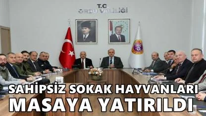 Ordu’da Sahipsiz Sokak Hayvanları İçin Barınak ve Doğal Yaşam Alanları Masaya Yatırıldı