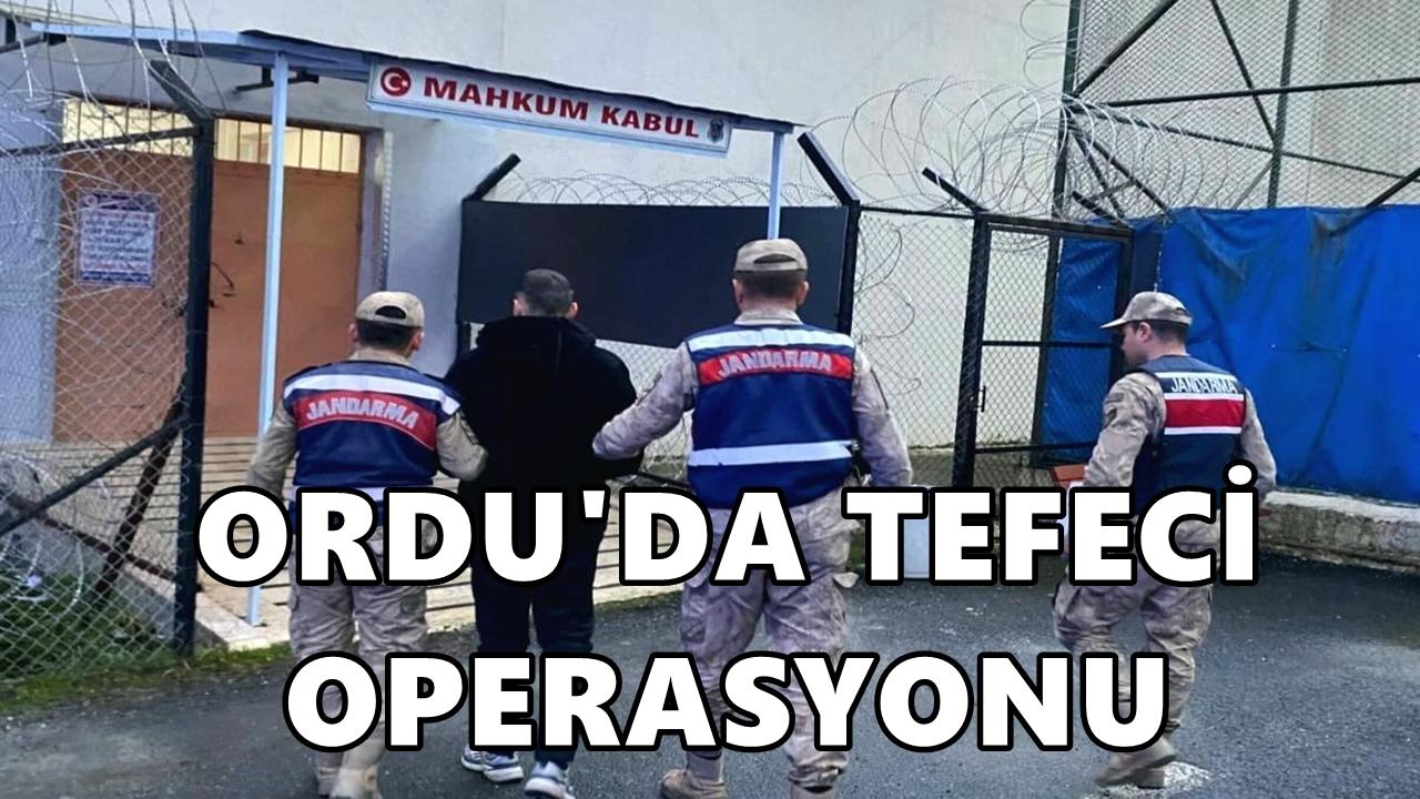 Ordu’da Tefecilik Operasyonu: 2 Tutuklama