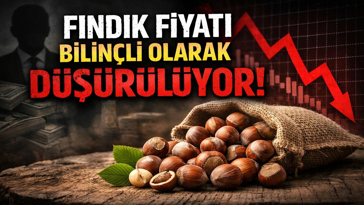 Özcan Şahin’den Şok Sözler: Fındık Fiyatı Bilinçli Olarak Düşürülüyor