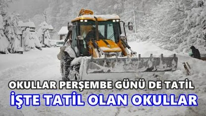 Ordu'da Okullar Perşembe Günü De Tatil Oldu; İşte Tatil Olan Okullar
