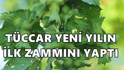 Tüccar fındığa yeni yılın ilk zammını yaptı: Fiyatlar 15 gün sonra yükseldi