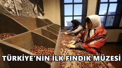 Türkiye’nin İlk Fındık Müzesi Ordu’nun Gözdesi Oldu
