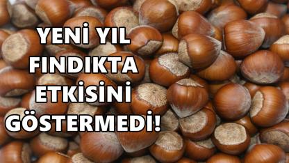 Yeni Yılda Fındıkta Beklenen Artış Gelmedi: Fiyatlar Yatay Seyrediyor