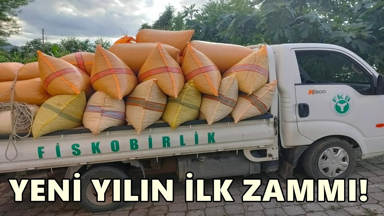 Yeni Yılın İlk Zammı Fındığa Geldi: Fiskobirlik Fiyat Güncelledi