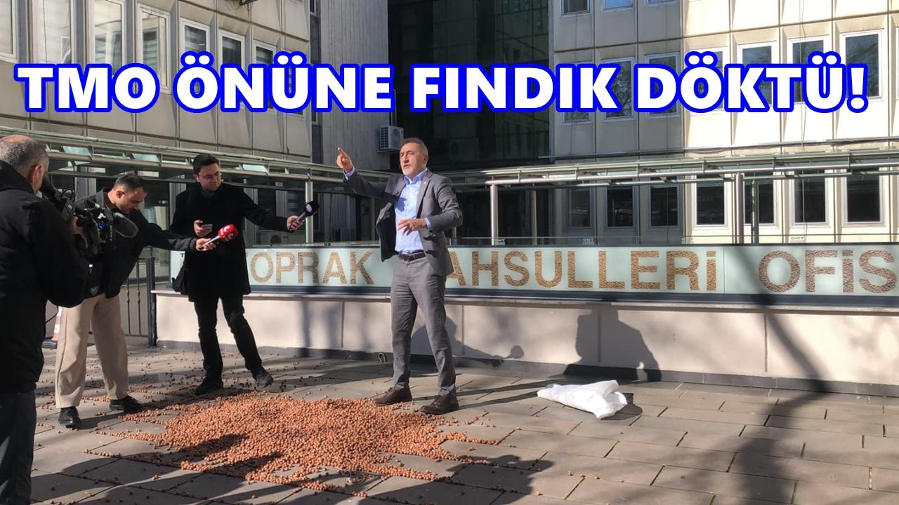Adıgüzel’den Ankara’da Fındık Protestosu:TMO Önünde Fındık Döktü