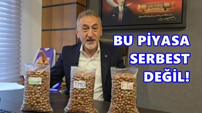 Adıgüzel’den fındık isyanı: “Aynı ürüne üç fiyat, bu açık soygundur”