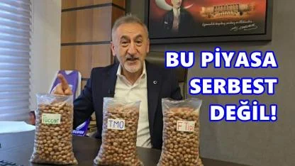 Adıgüzel’den fındık isyanı: “Aynı ürüne üç fiyat, bu açık soygundur”
