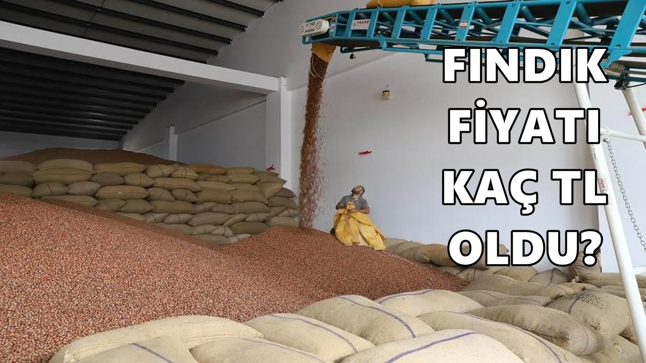 Fındık Fiyatı 11 Şubat 2026 Çarşamba