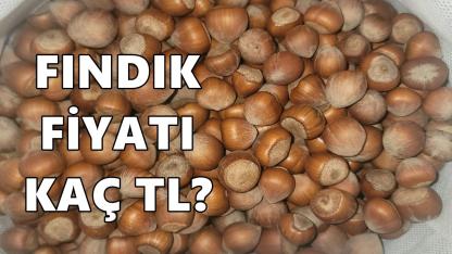 Fındık Fiyatı 12 Şubat 2026 Perşembe