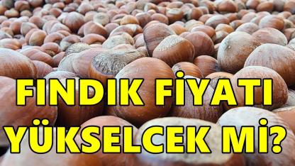 Fındık Fiyatı 16 Şubat 2026 Pazartesi