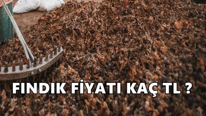 Fındık Fiyatı 26 Şubat 2026 Perşembe
