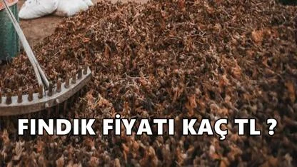 Fındık Fiyatı 26 Şubat 2026 Perşembe