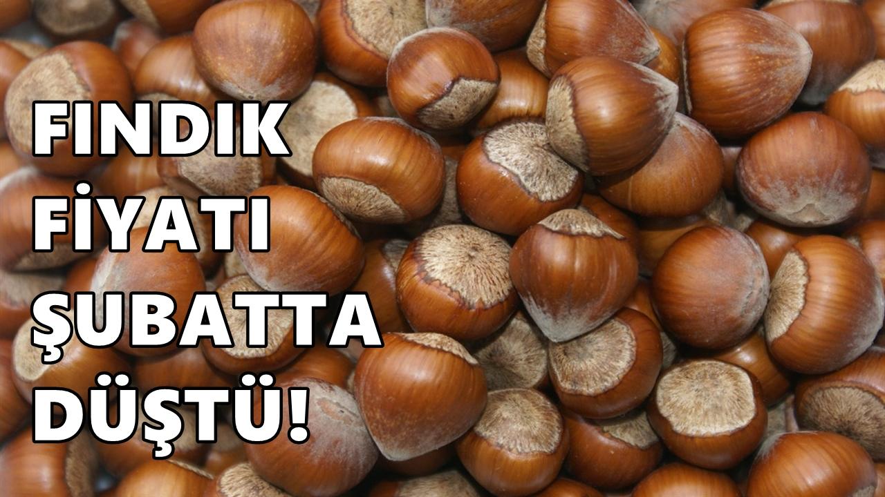 Fındık Fiyatı 28 Şubat 2026 Cumartesi