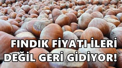Fındık Fiyatı 3 Şubat 2026 Salı