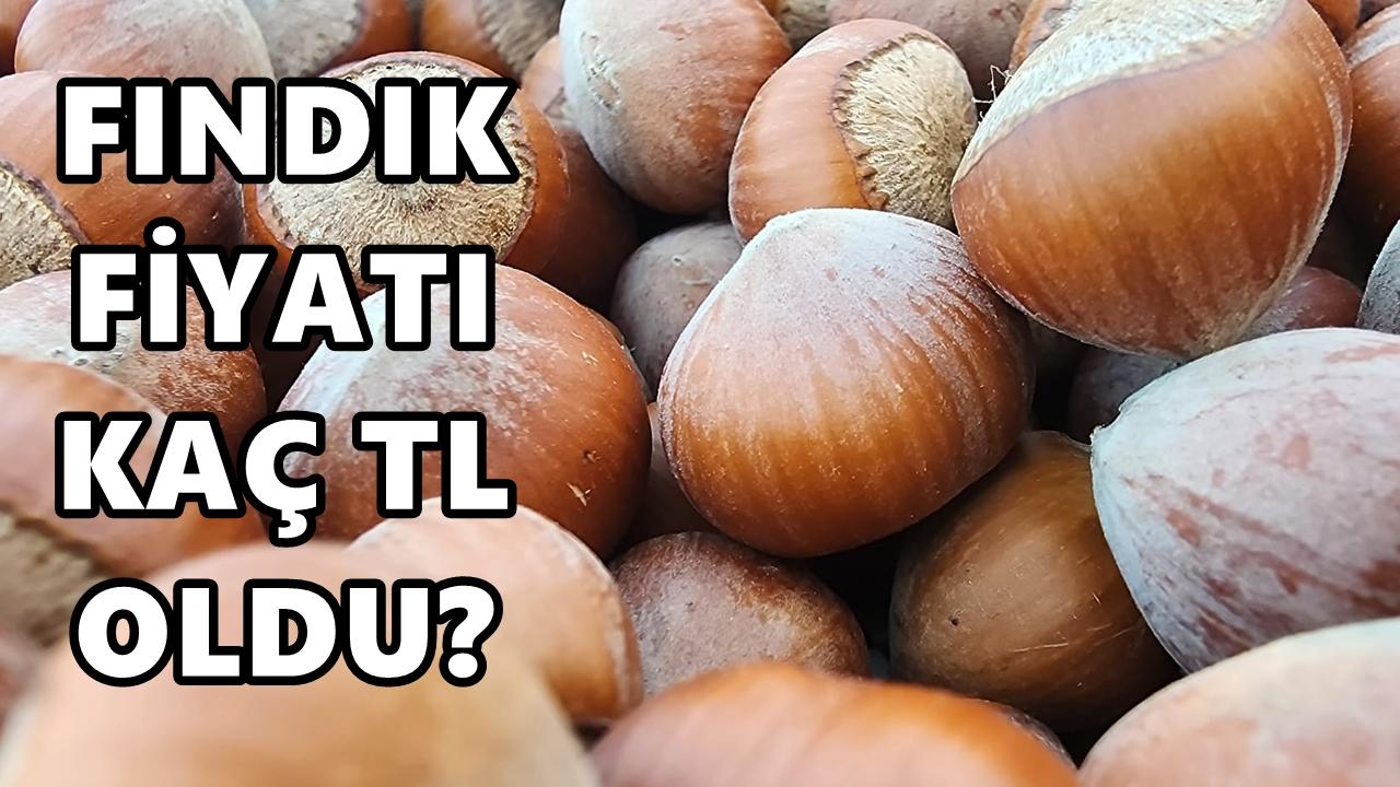 Fındık Fiyatı 6 Şubat 2026 Cuma