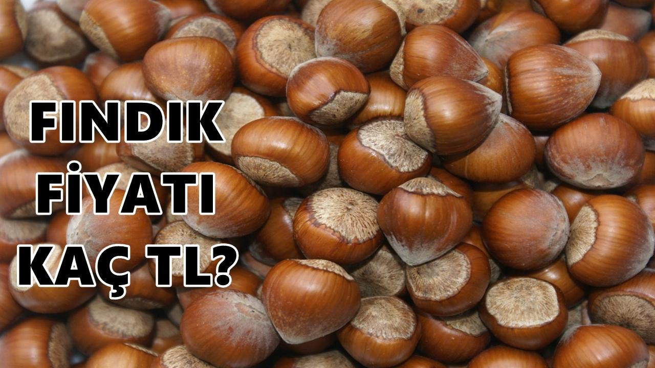 Fındık Fiyatı 7 Şubat 2026 Cumartesi
