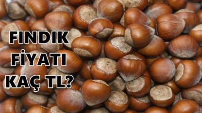 Fındık Fiyatı 7 Şubat 2026 Cumartesi