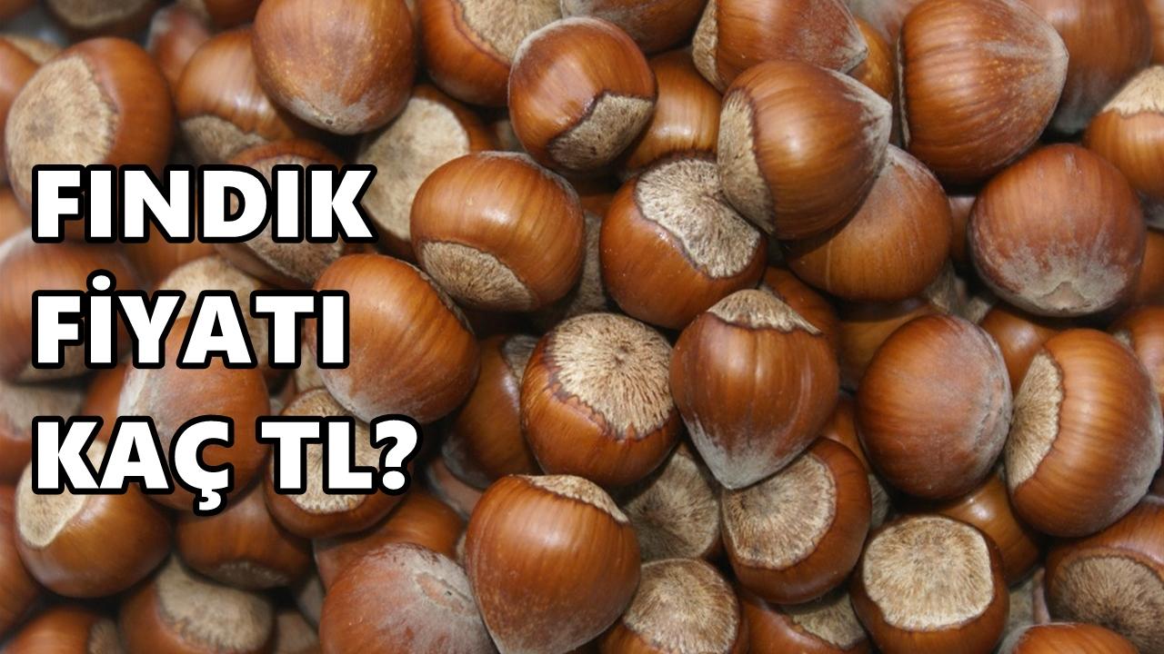 Fındık Fiyatı 8 Şubat 2026 Pazar