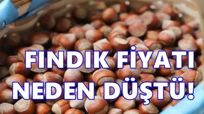 Fındık Fiyatı Neden Düştü? 4 Şubat 2026 Çarşamba Fındık Fiyatı