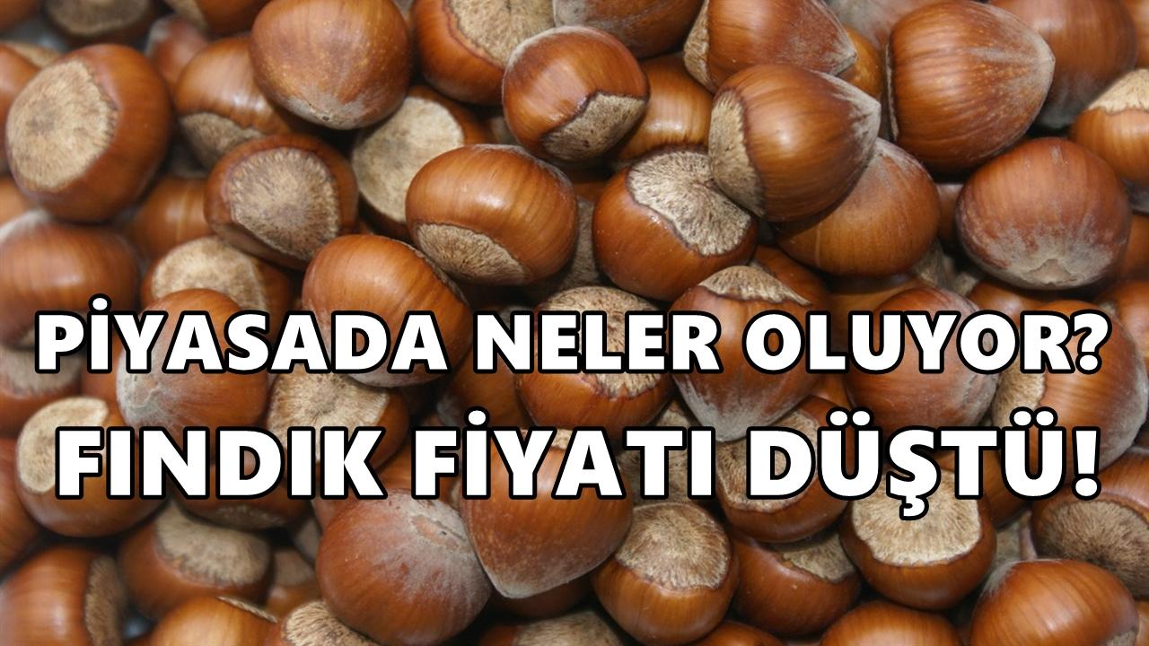 Fındık Şubat Ayına Sert Düşüşle Girdi
